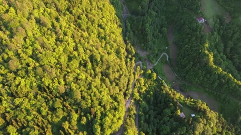 Aerial Drone Flight Over Forest Road to Snowy Peaks, Adjara, Georgia 4K Stock Footage 341423370