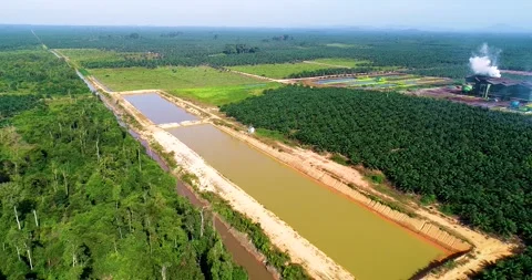 Aerial Drone Flight Over Irrigation Pond with Crude Palm Oil CPO Mill Factor Stockbeeldmateriaal 329056939