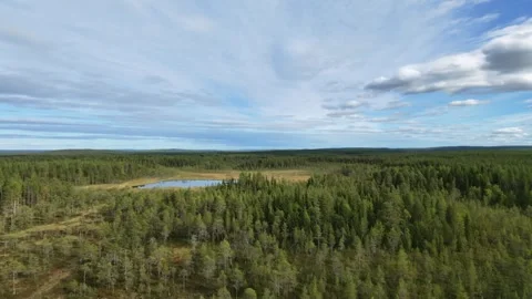 Aerial Drone Flight Over Lapland Forest and Lake in Finland in summer Stock Footage 345725973
