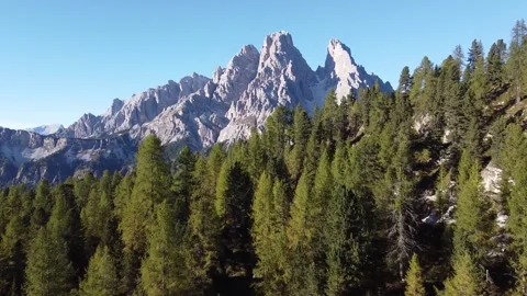 Aerial Drone Flight Over Larch Forest in Dolomites, Italy Stock Footage 328180140