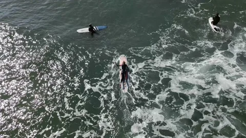 Aerial Drone Flight Over Long Island Surfers in the Hamptons Stock Footage 163311544