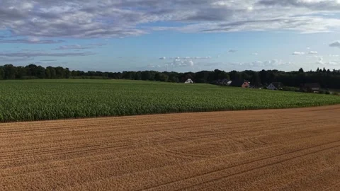 Aerial Drone Flight Over Lush Green Cornfield in Rural Germany Stock Footage 342436593