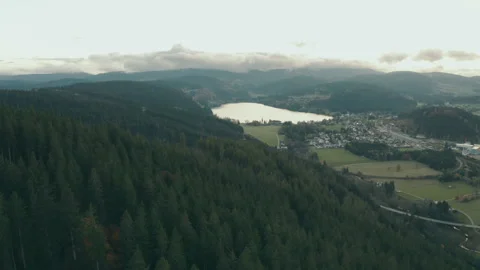 Aerial drone flight over mountain and forest with lake on horizon Stock Footage 319824993
