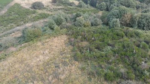 Aerial drone flight over the observation point for wolves in Tuscany Stock Footage 112282027