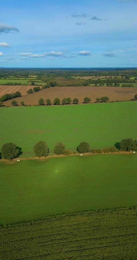 Aerial drone flight over open fields with green and brown surface Stock Footage 253034493