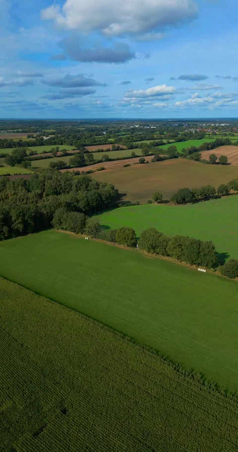 Aerial drone flight over open fields with green and brown surface Stock Footage 253034589