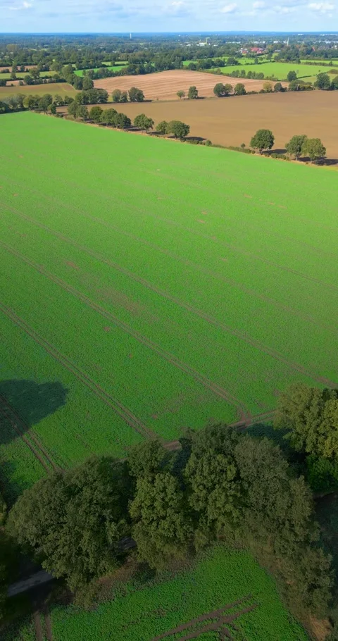 Aerial drone flight over open fields with green and brown surface Stock Footage 253034739