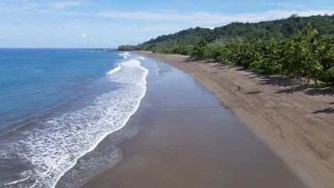Aerial Drone Flight Over a Pacific Coast Beach with Horse Rider, Costa Rica. 库存影片 342401707