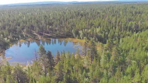 Aerial drone flight over a pine forest and a lake Stock Footage 114418067
