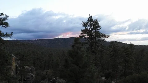 Aerial drone flight over pine trees and rocks, Big Bear, California, USA Stock Footage 137944631