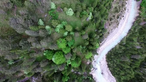 Aerial drone flight over river in a valley with rocks between green fir tree Stock Footage 80576320