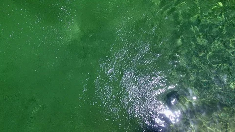 Aerial drone flight over river in a valley with rocks between green fir tree Video stock 91016785