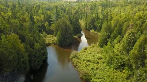 Aerial drone flight over a river gorge in a green coniferous forest. Stock-Footage 95563232
