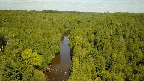 Aerial drone flight over a river gorge in a green coniferous forest. Stock Footage 95563457