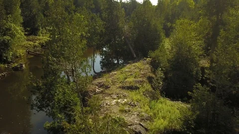 Aerial drone flight over a river gorge in a green coniferous forest. Stock Footage 95564589