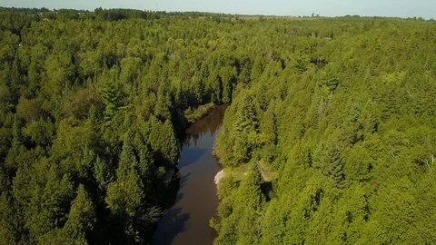 Aerial drone flight over a river gorge in a green coniferous forest. Stock Footage 95564650
