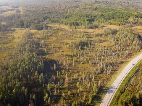 Aerial drone flight over road and Northern Michigan Stock Footage 80896338