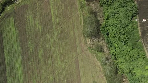 Aerial. Drone flight over rolling farmland hills , HD. Video stock 138547186