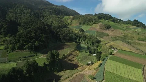 Aerial. Drone flight over rolling farmland hills , HD. Video stock 138547334