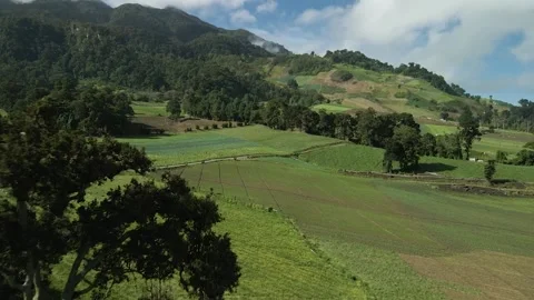 Aerial. Drone flight over rolling farmland hills , HD. Video stock 138547710