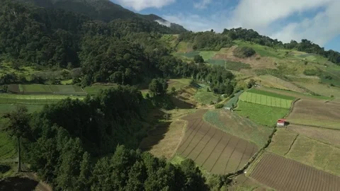 Aerial. Drone flight over rolling farmland hills , HD. Stock Footage 138547851