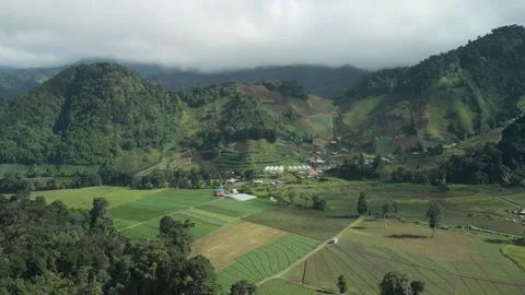 Aerial. Drone flight over rolling farmland hills , HD. Stock Footage 138547865