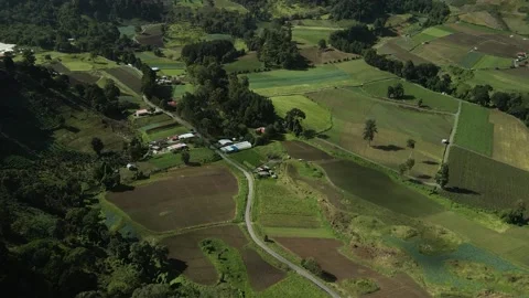 Aerial. Drone flight over rolling farmland hills , HD. Video stock 138547968
