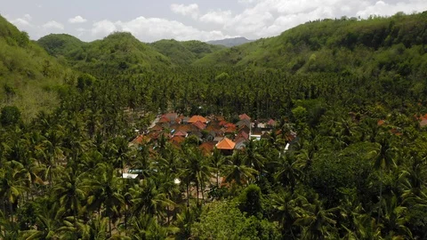 Aerial drone flight over settlement in jungle, Bali, Indonesia, 4k Stock Footage 123697369