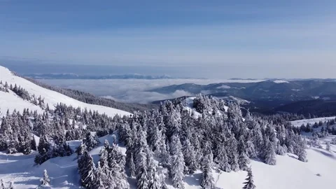 Aerial Drone Flight Over Snow Covered Evergreen Forest and Winter Mountains Stock Footage 325179257