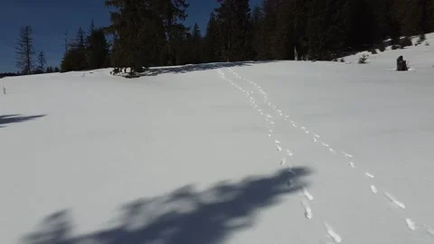Aerial Drone Flight Over Snow Covered Highland Meadow Below Vladeasa Peak Stock Footage 345836156