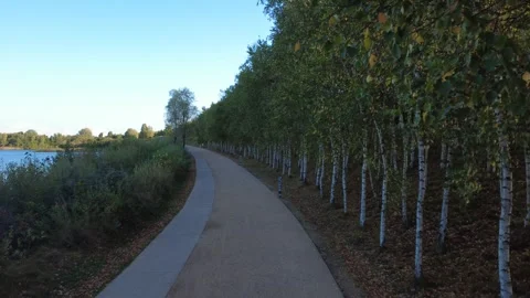 Aerial Drone Flight Over Summer Park Pathways Stock Footage 328514725
