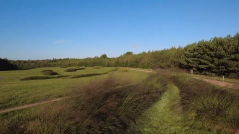 Aerial Drone Flight Over Summer Park Pathways Stock Footage 328514737