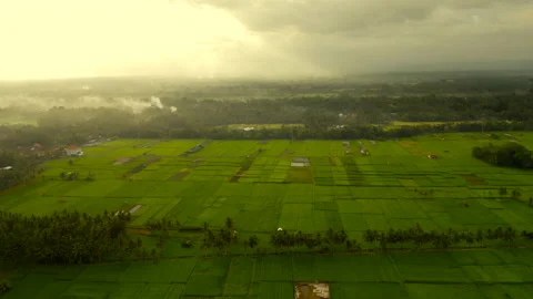 Aerial drone flight over sunset fields at Bali village, Indonesia, 4k Video stock 139049160