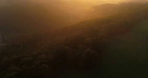 Aerial drone flight over thick forests covering the foggy mountains during the Stock Footage 87523548
