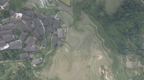 Aerial drone flight over traditional wooden homes and rice terraces in China Stock Footage 67518936