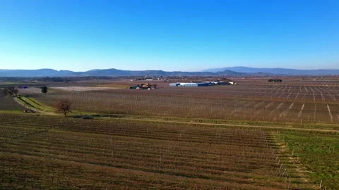 Aerial drone flight over view apples trees field in Tuscany Valdichiana Arezzo Stock Footage 234130716