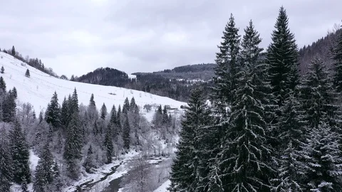 Aerial drone flight over winter scenery at carpathian mountains, ukraine, 4k Stock Footage 119890880