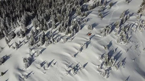 Aerial Drone Flight Over Winter Forest in Carpathian Mountains Stock Footage 327391886