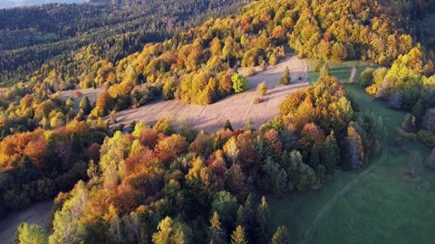 Aerial drone flight sideways over colorful autumn forest and open meadows in Stock Footage 319832756