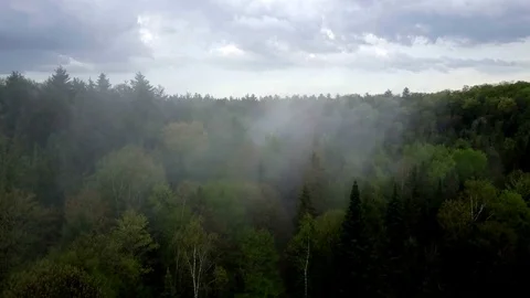 Aerial drone flight through misty forest landscape on an overcast day Stock-Footage 79847172