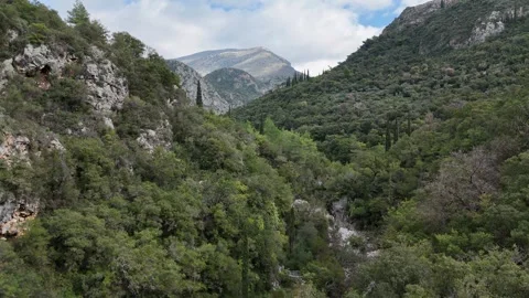 Aerial Drone Flight Through Vyros Gorge Near Kardamyli, Greece Video stock 302709331
