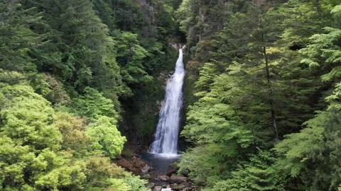 Aerial Drone Flight Toward a Waterfall Surrounded by Lush Green Forest in Summer Video stock 335762222