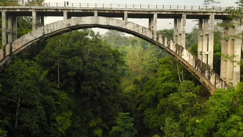 Aerial drone flight under bridge throw exotic valley, Bali, Indonesia, 4k Stock Footage 124904022