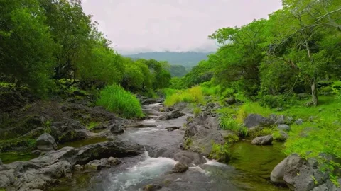 Aerial drone flow over river stream in lush green nature Stockbeeldmateriaal 344354955