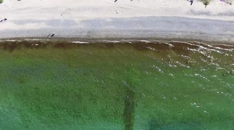 Aerial Drone fly Over a beach on the baltic coast Stock Footage 62927835