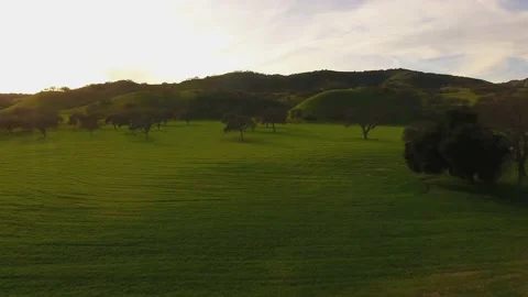 Aerial Drone Fly Over lush green field 60 sec. 스톡 동영상 146555053