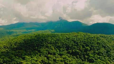 Aerial drone fly over lush green forest and mountain peak 库存影片 344354480