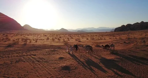 Aerial drone fly over Middle East Southern Jordan Wadi Rum Camels Desert Stock Footage 100362110
