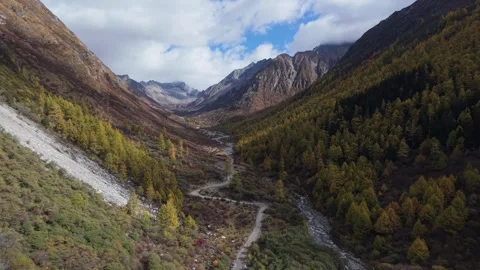 Aerial Drone Fly-Through of Alpine Valley with Autumn Colors and Snow Mountains Stock Footage 320352591