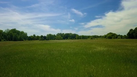 Aerial drone flying backwards over a field of tall grass Stock Footage 114830907